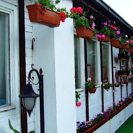 Hostel Domestika Bitola Rum bild