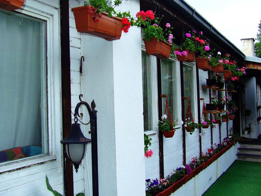 Hostel Domestika Bitola Rum bild